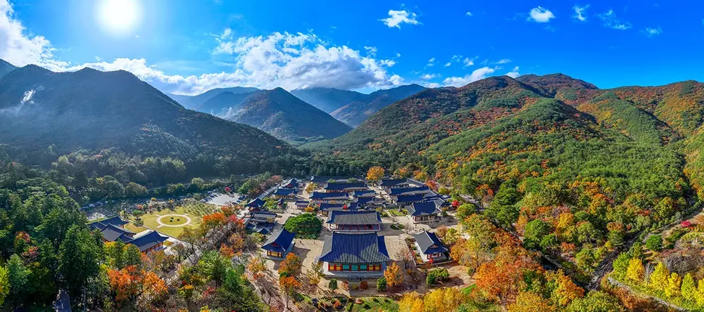 운문사의 가을 풍경 슬라이드